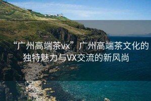 “廣州高端茶vx”廣州高端茶文化的獨特魅力與VX交流的新風尚
