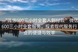 “微信600三小時全套人到付款”微信600三小時全套服務，探索現代服務行業的便捷與效率
