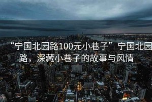 “寧國北園路100元小巷子”寧國北園路，深藏小巷子的故事與風情