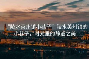 “陵水英州鎮(zhèn)小巷子”陵水英州鎮(zhèn)的小巷子，時(shí)光里的靜謐之美