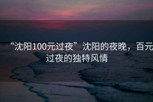 “沈陽(yáng)100元過夜”沈陽(yáng)的夜晚，百元過夜的獨(dú)特風(fēng)情