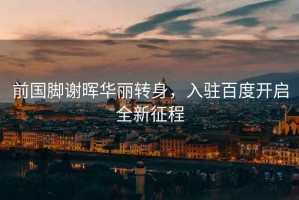 前國腳謝暉華麗轉身，入駐百度開啟全新征程