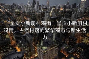 “呈貢小新冊(cè)村雞街”呈貢小新冊(cè)村雞街，古老村落的繁華雞市與新生活力