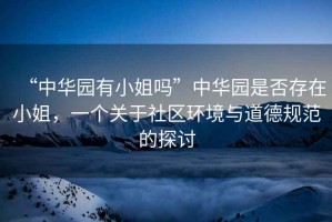 “中華園有小姐嗎”中華園是否存在小姐，一個關于社區環境與道德規范的探討
