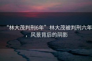 “林大茂判刑6年”林大茂被判刑六年，風景背后的陰影