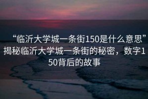 “臨沂大學城一條街150是什么意思”揭秘臨沂大學城一條街的秘密，數字150背后的故事