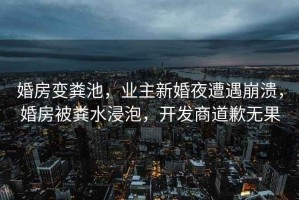 婚房變糞池，業主新婚夜遭遇崩潰，婚房被糞水浸泡，開發商道歉無果