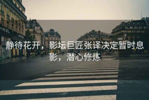 靜待花開，影壇巨匠張譯決定暫時息影，潛心修煉