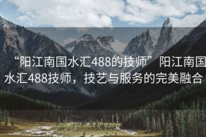 “陽江南國水匯488的技師”陽江南國水匯488技師，技藝與服務的完美融合