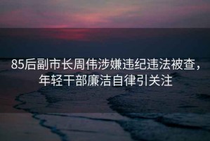 85后副市長周偉涉嫌違紀(jì)違法被查，年輕干部廉潔自律引關(guān)注