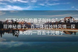 “棠下150元的巷子叫什么”棠下鎮驚現神秘巷子，百元體驗獨特風情—探訪未知的一百五十元巷子