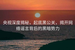 央視深度揭秘，起底黑公關，揭開網絡謠言背后的黑暗勢力