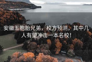 安徽五胞胎兄弟，校方預(yù)測(cè)，其中幾人有望沖擊一本名校！