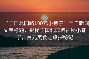 “寧國北園路100元小巷子”當日新聞文章標題，揭秘寧國北園路神秘小巷子，百元美食之旅探秘記