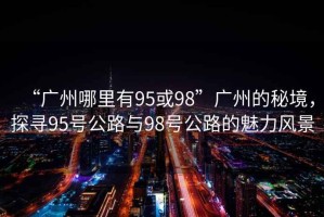 “廣州哪里有95或98”廣州的秘境，探尋95號公路與98號公路的魅力風景