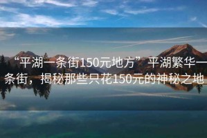 “平湖一條街150元地方”平湖繁華一條街，揭秘那些只花150元的神秘之地