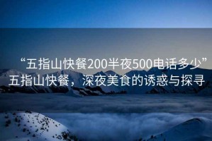 “五指山快餐200半夜500電話多少”五指山快餐，深夜美食的誘惑與探尋