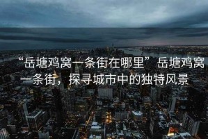 “岳塘雞窩一條街在哪里”岳塘雞窩一條街，探尋城市中的獨特風景