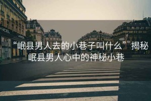 “岷縣男人去的小巷子叫什么”揭秘岷縣男人心中的神秘小巷