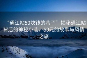 “通江站50塊錢的巷子”揭秘通江站背后的神秘小巷，50元的故事與風情之旅