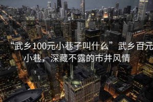 “武鄉100元小巷子叫什么”武鄉百元小巷，深藏不露的市井風情