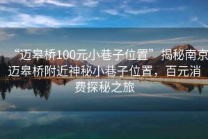 “邁皋橋100元小巷子位置”揭秘南京邁皋橋附近神秘小巷子位置，百元消費探秘之旅