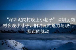 “深圳泥崗村晚上小巷子”深圳泥崗村夜晚小巷子，舊時光的魅力與現代都市的脈動