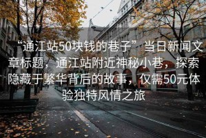 “通江站50塊錢的巷子”當日新聞文章標題，通江站附近神秘小巷，探索隱藏于繁華背后的故事，僅需50元體驗獨特風情之旅