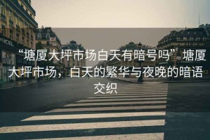 “塘廈大坪市場白天有暗號嗎”塘廈大坪市場，白天的繁華與夜晚的暗語交織