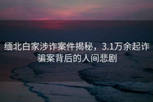 緬北白家涉詐案件揭秘，3.1萬余起詐騙案背后的人間悲劇