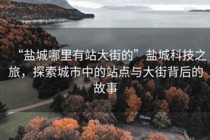 “鹽城哪里有站大街的”鹽城科技之旅，探索城市中的站點與大街背后的故事