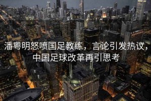 潘粵明怒噴國足教練，言論引發熱議，中國足球改革再引思考