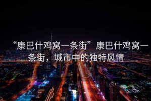 “康巴什雞窩一條街”康巴什雞窩一條街，城市中的獨特風情