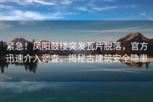 緊急！鳳陽鼓樓突發瓦片脫落，官方迅速介入調查，揭秘古建筑安全隱患