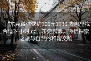 “東莞微信快約300元1130.去哪里找合適24小時.cc”東莞晨曦，微信探索之旅與自然的和諧交響