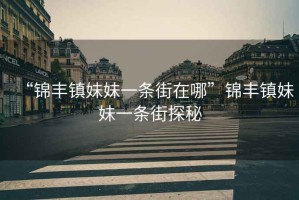 “錦豐鎮(zhèn)妹妹一條街在哪”錦豐鎮(zhèn)妹妹一條街探秘