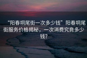 “陽(yáng)春垌尾街一次多少錢(qián)”陽(yáng)春垌尾街服務(wù)價(jià)格揭秘，一次消費(fèi)究竟多少錢(qián)？