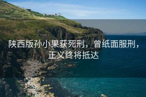 陜西版孫小果獲死刑，曾紙面服刑，正義終將抵達