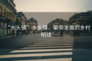 “水頭鎮”水頭鎮，繁榮發展的鄉村明珠