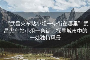 “武昌火車站小俎一條街在哪里”武昌火車站小俎一條街，探尋城市中的一處獨特風景