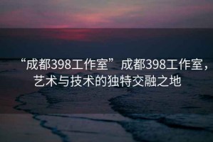 “成都398工作室”成都398工作室，藝術與技術的獨特交融之地