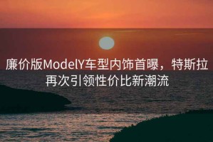 廉價(jià)版ModelY車型內(nèi)飾首曝，特斯拉再次引領(lǐng)性價(jià)比新潮流
