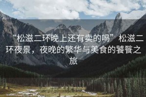 “松滋二環(huán)晚上還有賣的嗎”松滋二環(huán)夜景，夜晚的繁華與美食的饕餮之旅
