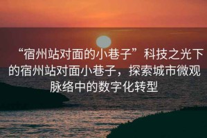 “宿州站對面的小巷子”科技之光下的宿州站對面小巷子，探索城市微觀脈絡(luò)中的數(shù)字化轉(zhuǎn)型