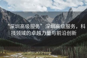 “深圳高級服務(wù)”深圳高級服務(wù)，科技領(lǐng)域的卓越力量與前沿創(chuàng)新