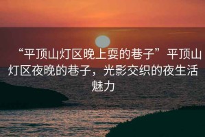“平頂山燈區(qū)晚上耍的巷子”平頂山燈區(qū)夜晚的巷子，光影交織的夜生活魅力