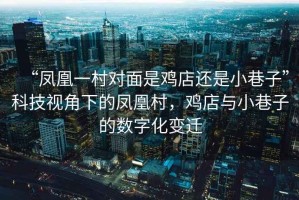 “鳳凰一村對面是雞店還是小巷子”科技視角下的鳳凰村，雞店與小巷子的數(shù)字化變遷