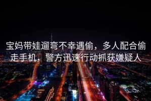寶媽帶娃遛彎不幸遇偷，多人配合偷走手機(jī)，警方迅速行動抓獲嫌疑人