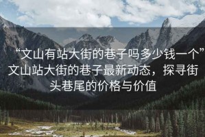 “文山有站大街的巷子嗎多少錢一個”文山站大街的巷子最新動態，探尋街頭巷尾的價格與價值