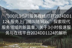 “300元3小時服務在線打開2024DD1124.服務上門隨叫隨到.cc”探索現代服務領域的新篇章，關于3小時極速服務與在線平臺2024DD1124的解析